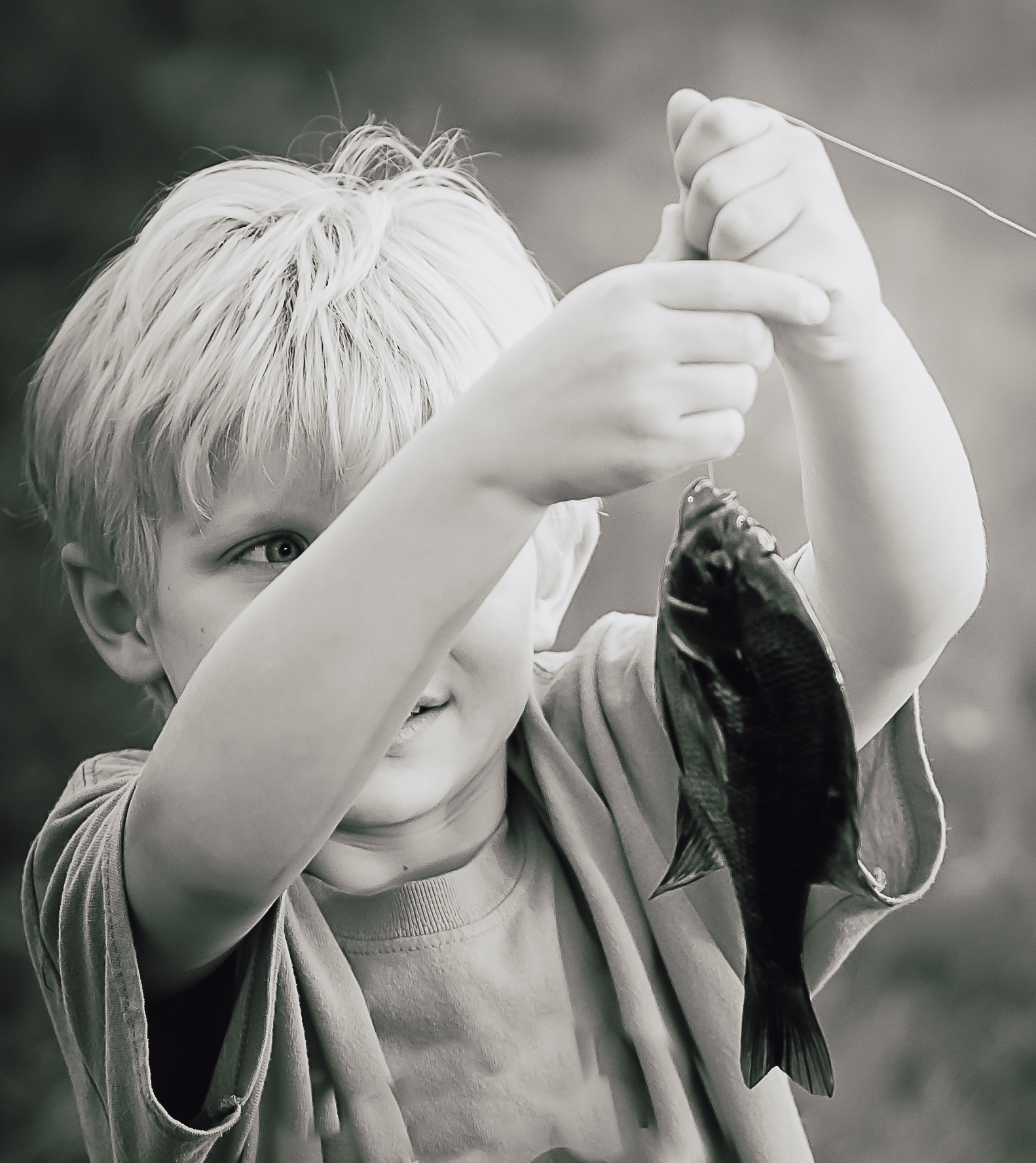 Devour Fish Welcome! | Devour the Word